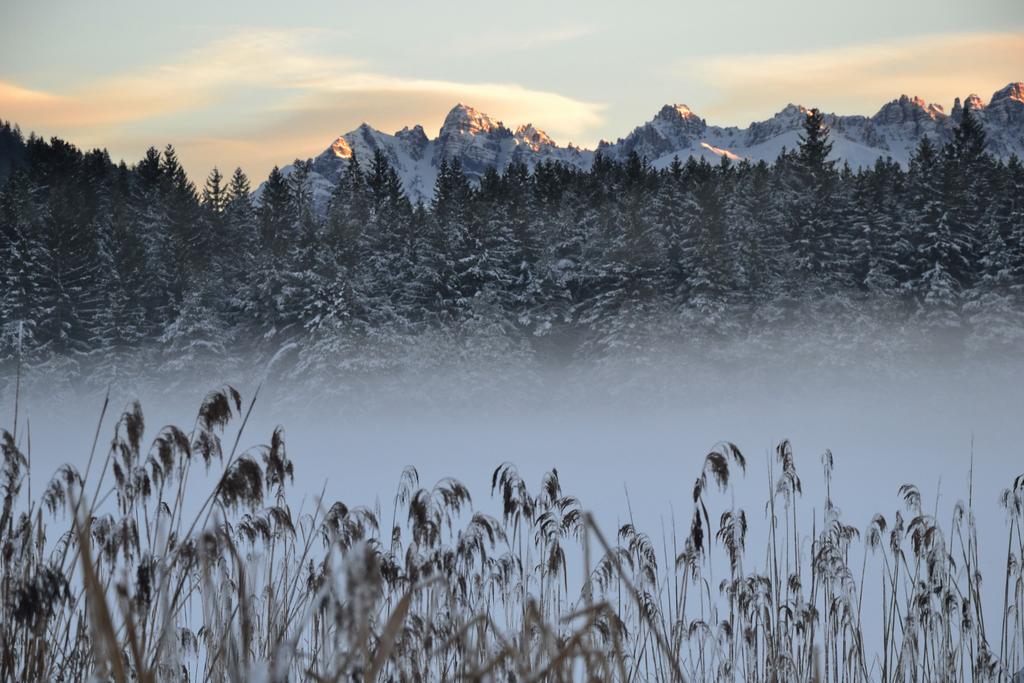 Landhaus Am Golfplatz Seefeld in Tirol Dış mekan fotoğraf