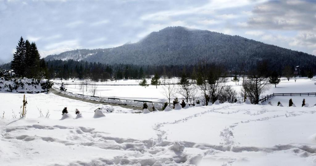 Landhaus Am Golfplatz Seefeld in Tirol Dış mekan fotoğraf